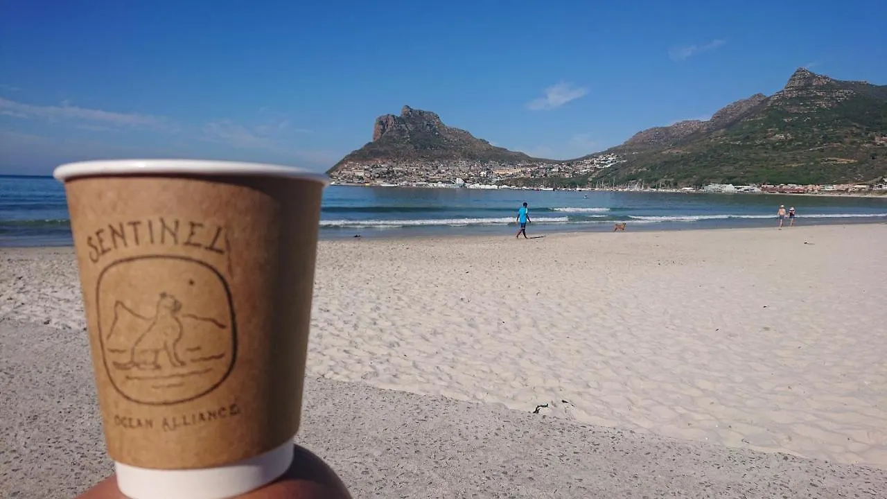 Villa Amanzi Hout Bay Homestay