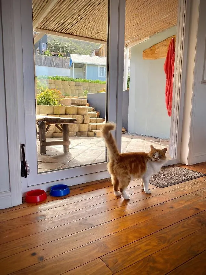 Villa Amanzi Hout Bay